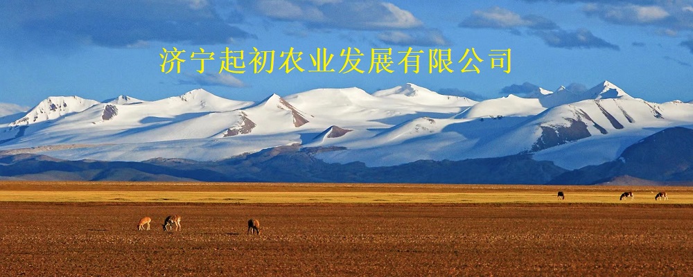 济宁起初农业发展有限公司